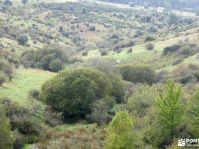 Pinar de Casasola-Embalse del Villar; a mariña fuentona soria patones de arriba rutas parque de rede